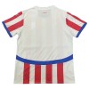Paraguay Voetbalshirt Thuis 2024